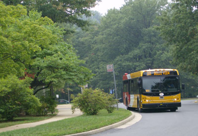 Bus
