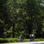 GW Parkway