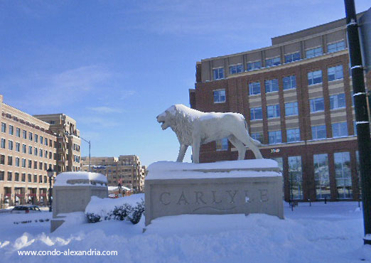 Nesbitt Realty can help you buy or sell in the Carlyle Area