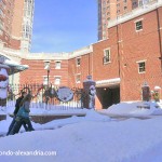 from the snow of 2009
