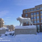 Carlyle District in snow