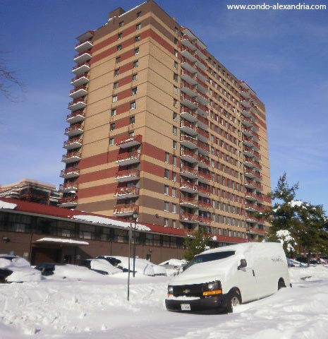 Port Royal condos