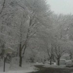 Snow in Reston