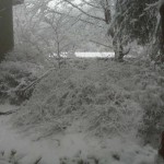 Reston snow