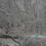 Snow in Reston