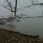 winter, Belle Haven marina