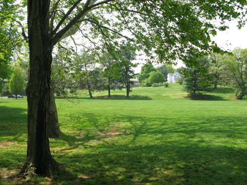 Quincy Park
