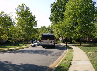 bus