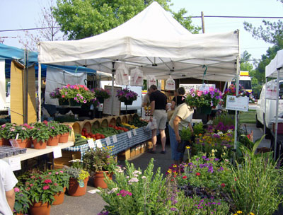 farmers' market