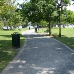 pathway in park