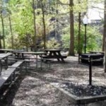 picnic area