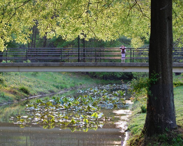 canal bridge