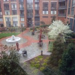 Carlyle Square Courtyard