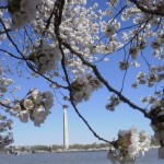 Washington Monument