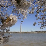 Washington Monument