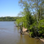 Fishing the Potomac R. near Little Hunting Creek