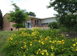 Madison Community Center includes a multi-purpose room, gym, game room, dance studio, basketball courts, and much more.
