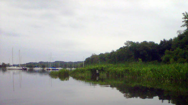 reflecting water