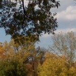 Nottoway Park