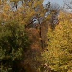 Nottoway Park