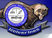 wolverines