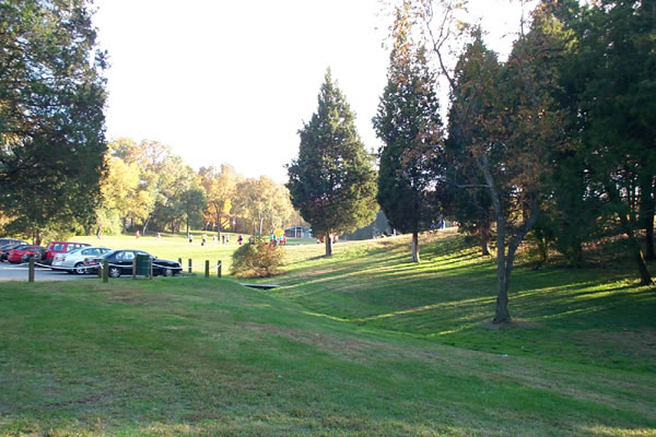 rolling green grass