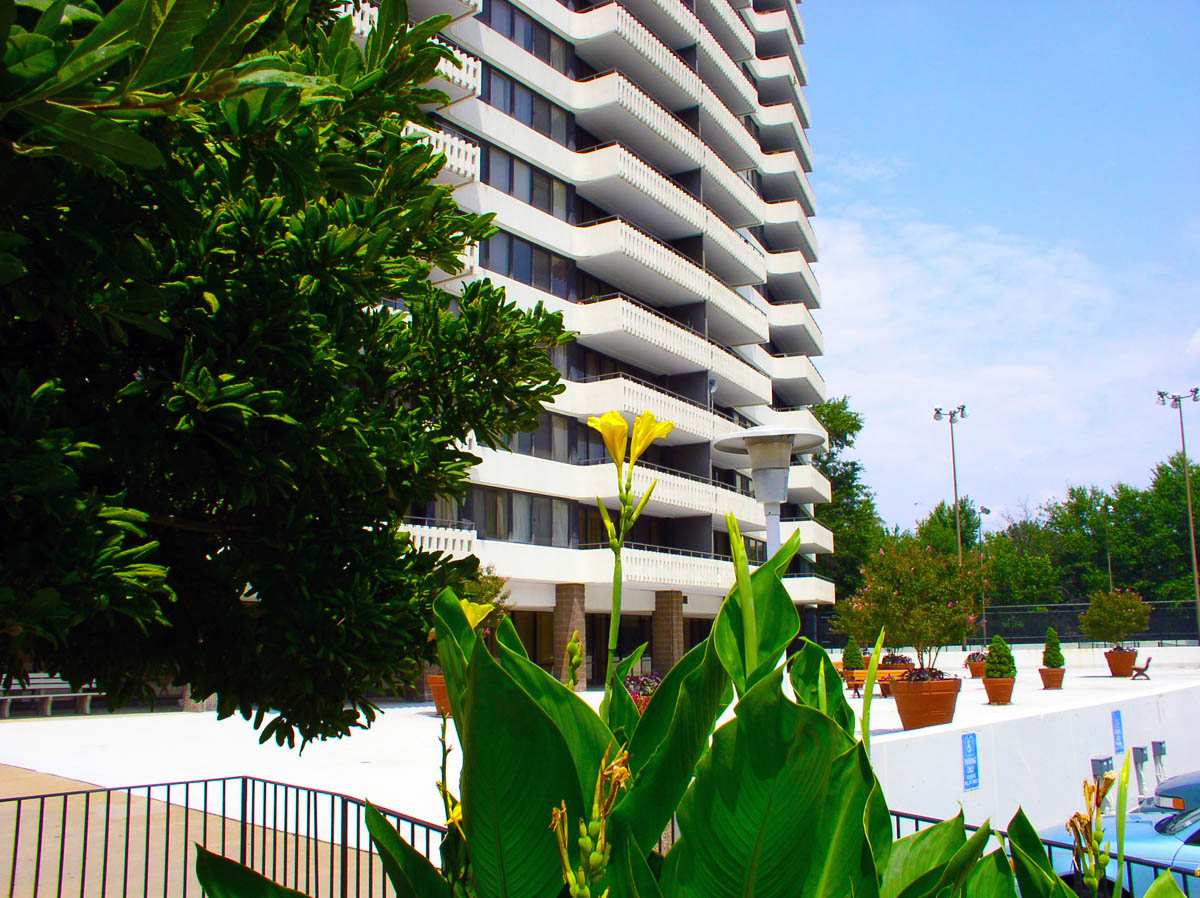 Olympus condos