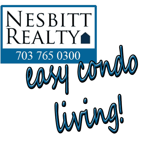 condo Realtor