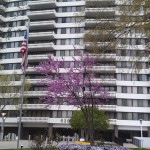 entrance to the condos