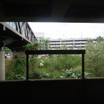 The area outside the Springfield station