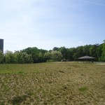 Fresh air and an open field