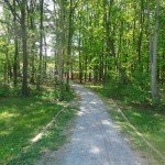 path