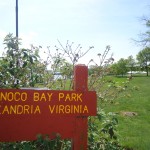 Welcome to Oronoco Bay