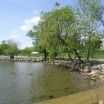 A peaceful day at Oronoco Bay Park