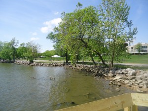 A peaceful day at Oronoco Bay Park