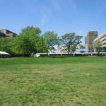 Oronoco Bay Park