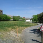 Nice day outside at the park