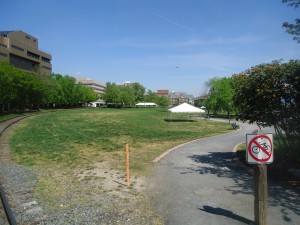 Nice day outside at the park