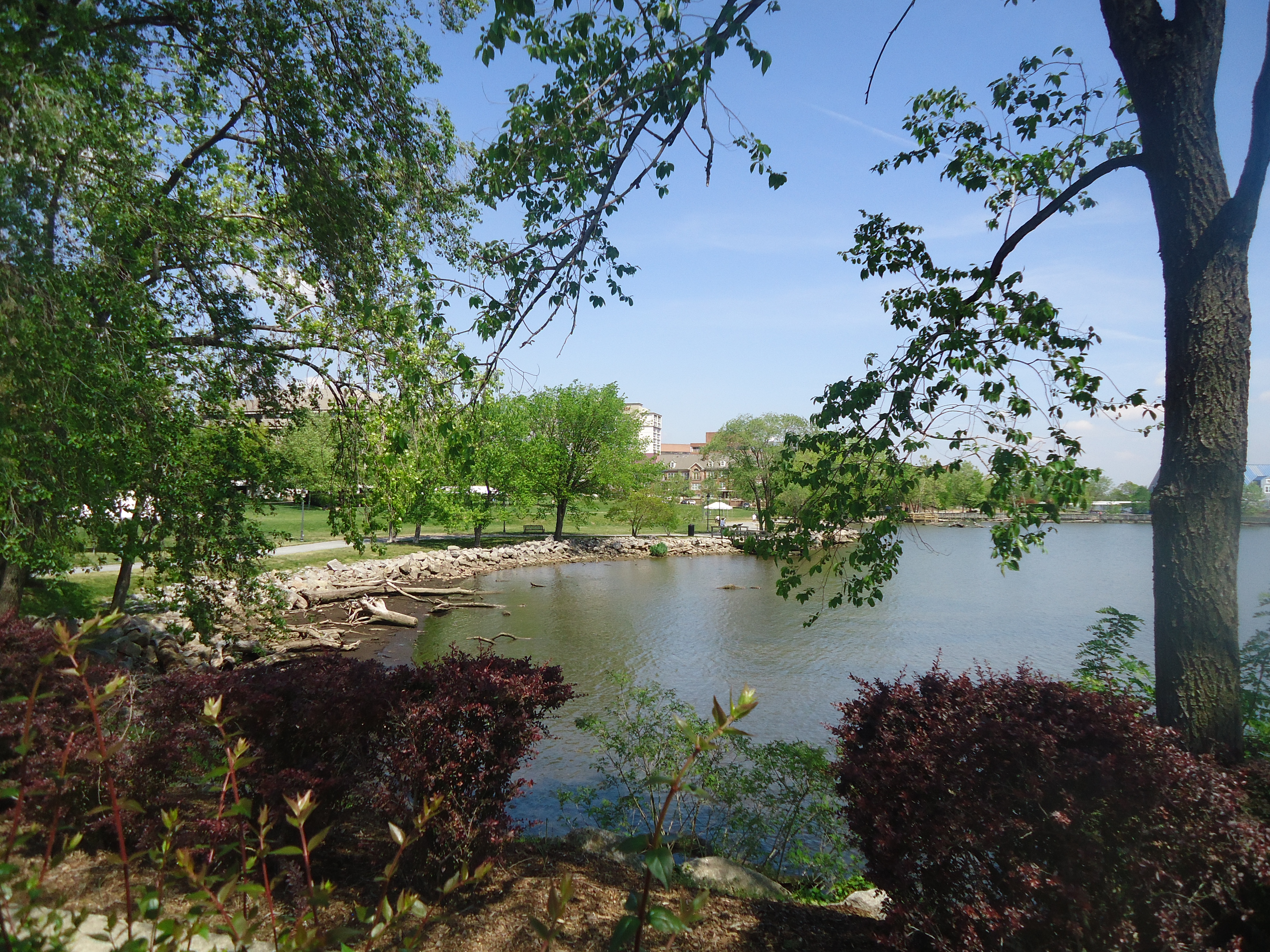 Distant view including the foliage