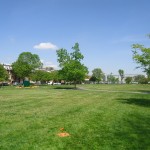 The field stretches several blocks