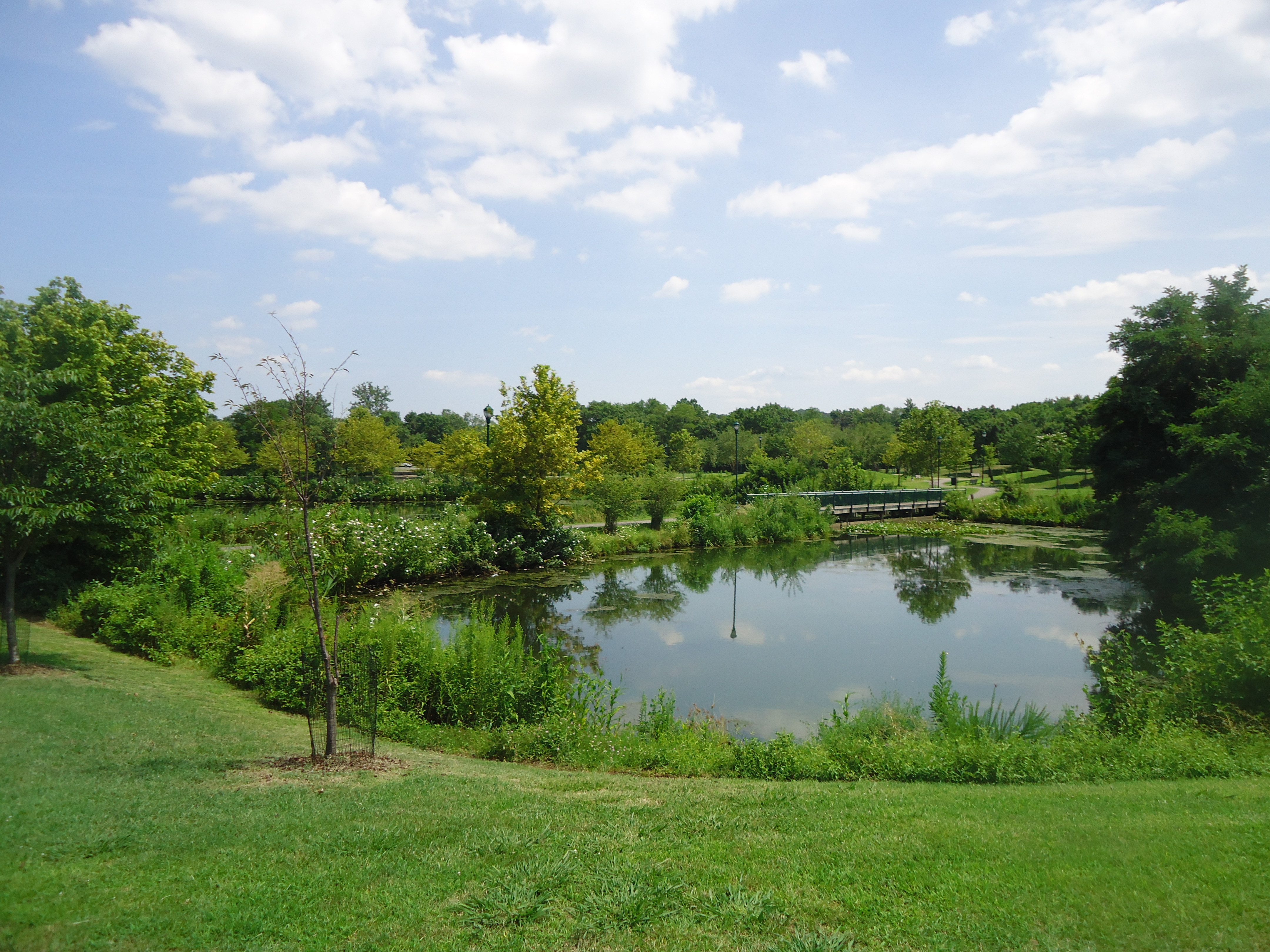 Lake at Ben Brenman