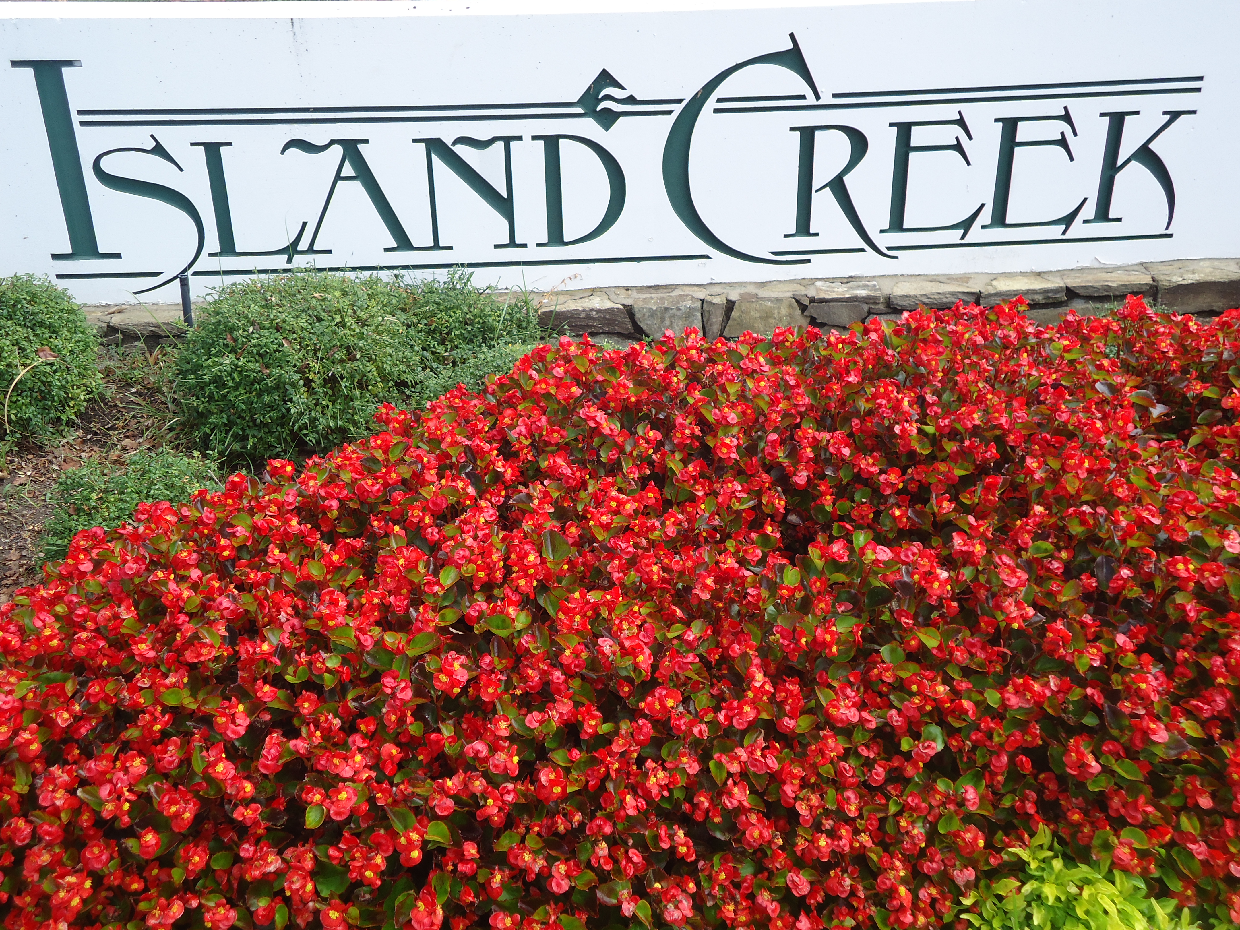 Nesbitt Realty serves Island Creek