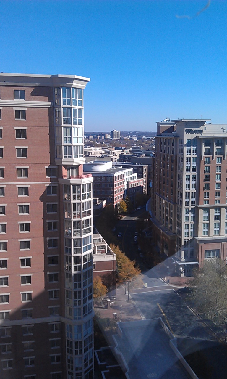 view