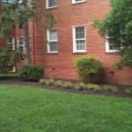 Old Town Gardens