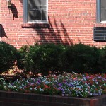 Old Town Gardens