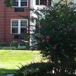 Old Town Gardens