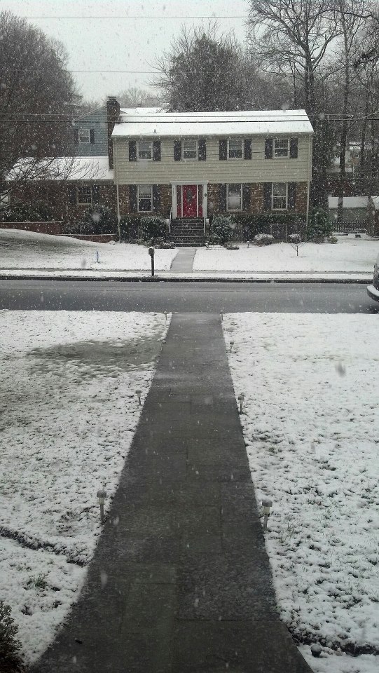 snow in the lawn