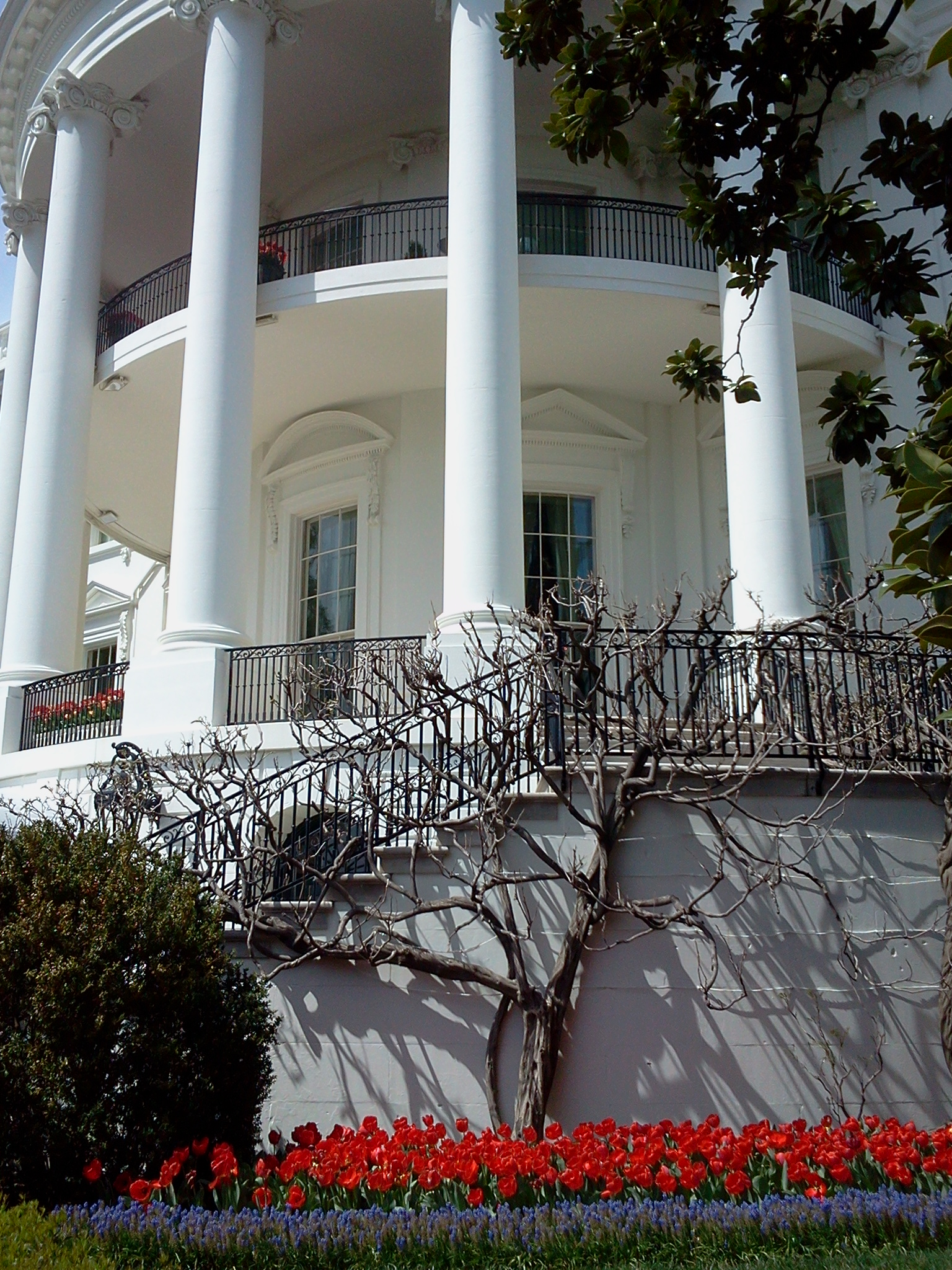 White House