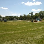 Bucknell Manor Park has a playground