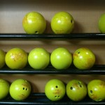 AMF Bowling Alley is great fun for the whole family